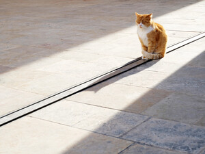 Температура изменится. Синоптик рассказала, чего ожидать от погоды в Украине на этой неделе