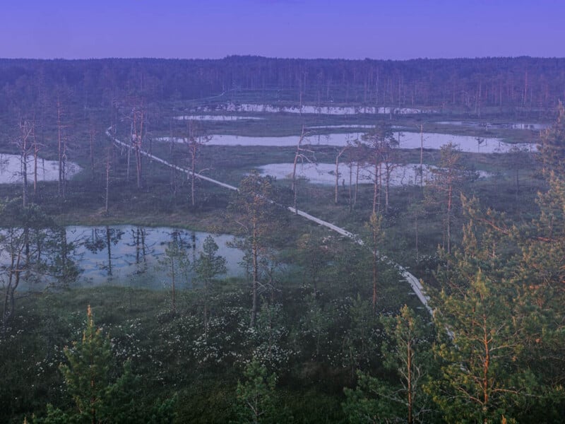 Естонія заявила про проникнення російських прикордонників на її територію