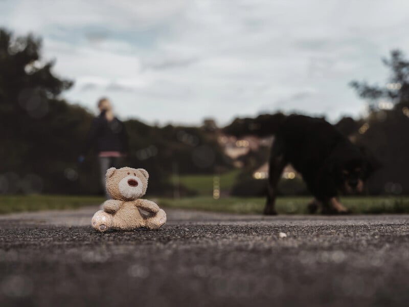 Генпрокурор: У Вінницькій області від голоду помер 10-річний хлопчик з інвалідністю