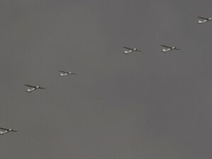 У Туреччині впав російський дрон. Фото