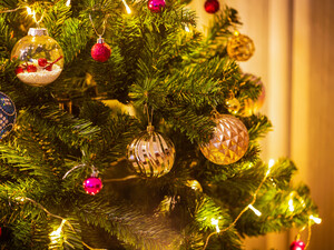 Просто обприскайте ялинку цим розчином – і вона дуже довго буде як свіжозрубана. Дієвий лайфхак