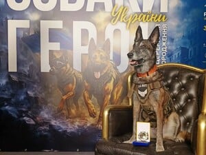 Овчарку Спарки, которая разыскала сотни тел погибших, наградили орденом 