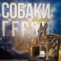 Вівчарку Спаркі, яка розшукала сотні тіл загиблих, нагородили орденом 