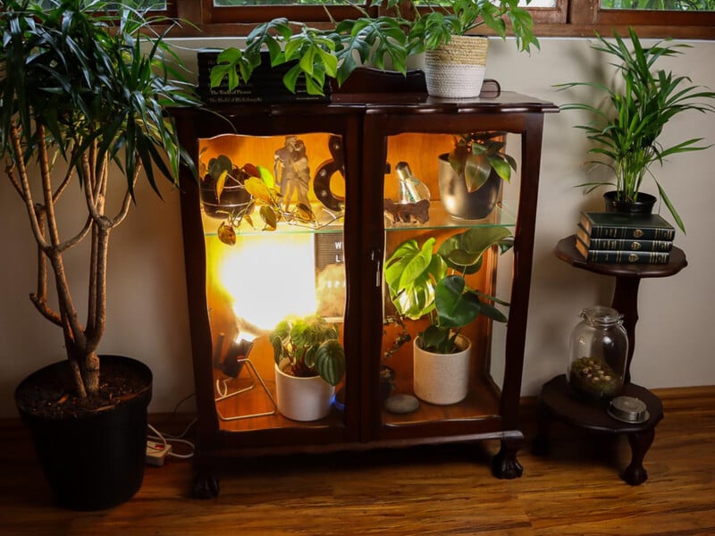 Кімнатна теплиця зі старої шафи: як її створити за три прості кроки