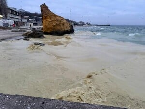 На узбережжі Одеси виявили загиблих птахів і плями, схожі на нафтові. Фото, відео