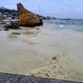 На узбережжі Одеси виявили загиблих птахів і плями, схожі на нафтові. Фото, відео