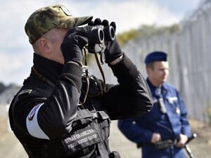 У Польщі заявили про ймовірну провокацію під прикриттям куль із контрабандою з боку Білорусі 