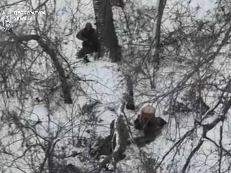 Змусили роздягнутися й розстріляли. Росіяни вбили двох українських військовополонених у Покровському районі