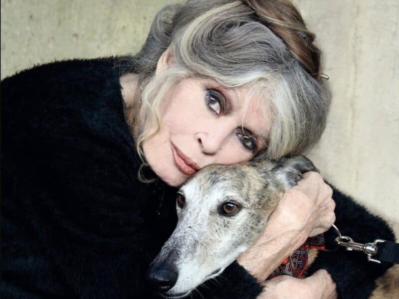 Бардо, вопреки воле, похоронят на морском кладбище. Церемония будет закрытой, а место – засекречено