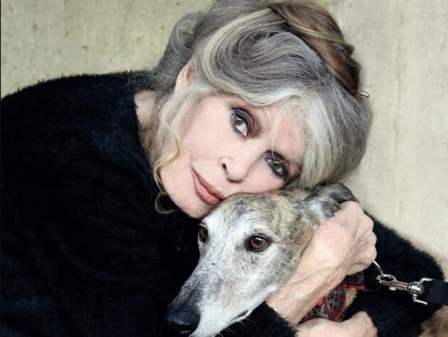 Бардо, вопреки воле, похоронят на морском кладбище. Церемония будет закрытой, а место – засекречено