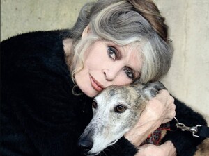 Бардо, вопреки воле, похоронят на морском кладбище. Церемония будет закрытой, а место – засекречено