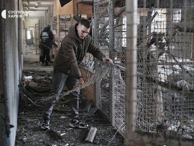 РФ атакувала екопарк під Харковом. Поранено левів, птахи могли загинути. Фото