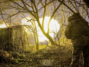 DeepState сообщил, сколько украинских территорий в 2025 году захватила РФ