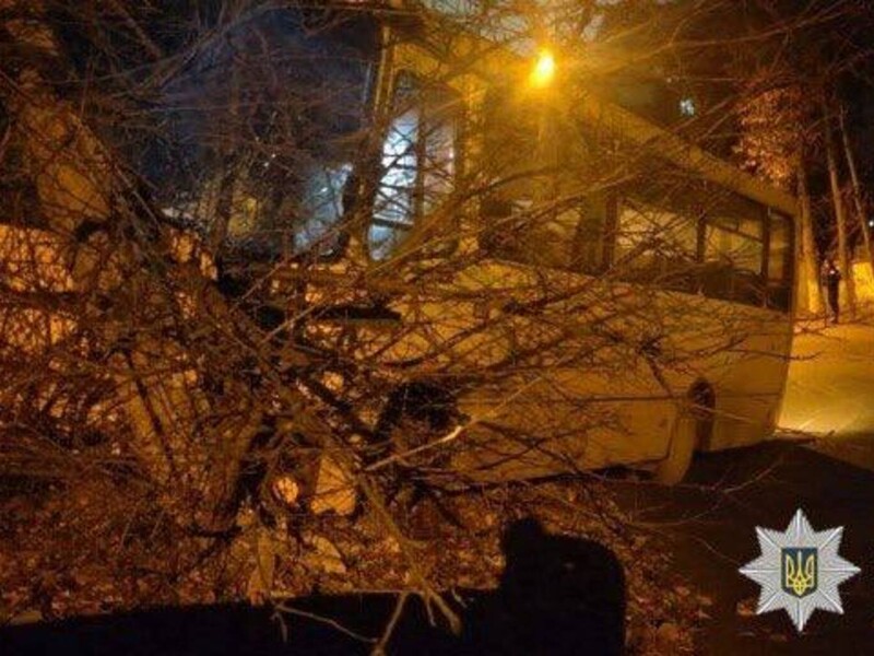 У Києві затримали чоловіка, якого підозрюють у викраденні маршрутки і ДТП з автомобілями й деревом