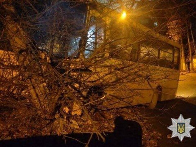 У Києві затримали чоловіка, якого підозрюють у викраденні маршрутки і ДТП з автомобілями й деревом