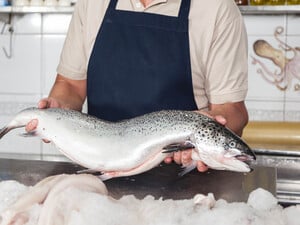 Два главных признака плохого лосося. Как выбрать качественную рыбу