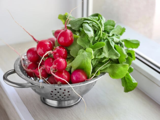 Выложите это на дно контейнера – и дома в феврале на подоконнике вырастет вкусный и сладкий редис