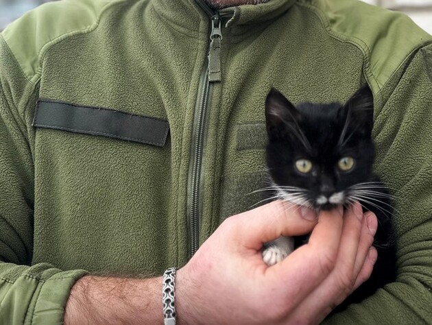 Дисциплинированный 