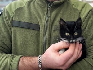 Дисциплинированный