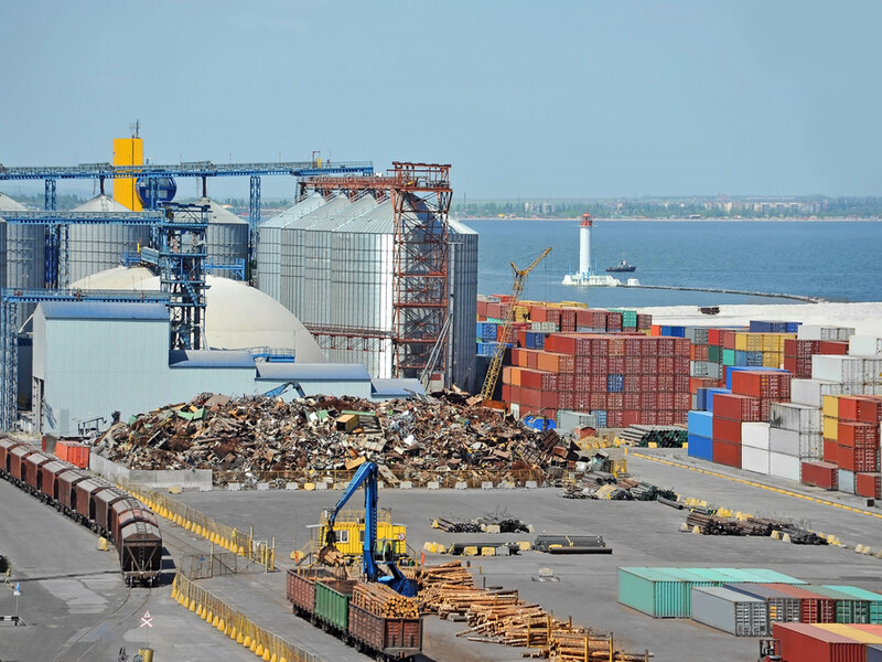 Уряд продовжив на 2026 рік режим ліцензування і квот на експорт деревини і брухту