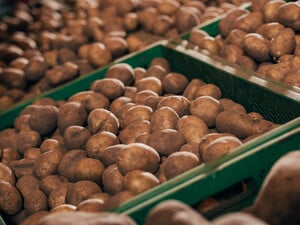 Избегайте сильного холода и влаги. Названа оптимальная температура для хранения картофеля