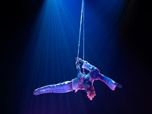 Украинские акробаты сорвались с шестиметровой высоты в цирке