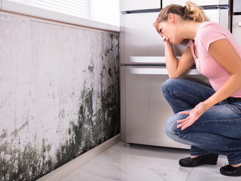 Сделайте это со шкафами – и плесень исчезнет. Простые советы, которые помогут побороть грибок в доме