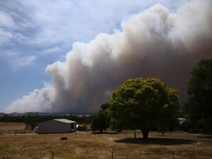 Сотни тысяч гектаров сожжены, десятки тысяч домов обесточены. В Австралии бушуют масштабные пожары