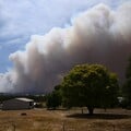 Соті тисяч гектарів спалено, десятки тисяч будинків знеструмлено. В Австралії вирують масштабні пожежі