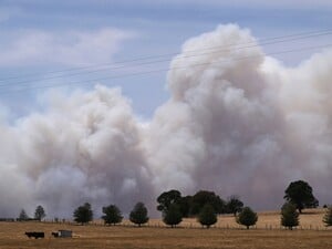 В Австралии из-за масштабных пожаров есть первая жертва, власти объявили эвакуацию. Фоторепортаж
