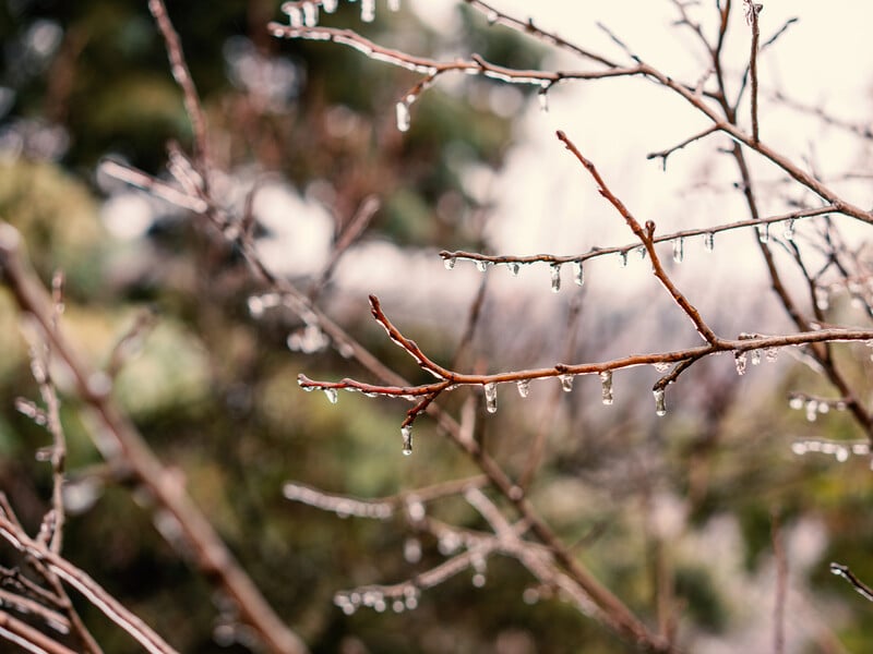 "Сидимо поки що в морозах". Синоптикиня розповіла, коли в Україні чекати на потепління