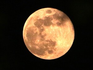 Американская компания открыла бронь на места в отеле на Луне. Когда планируется открытие?