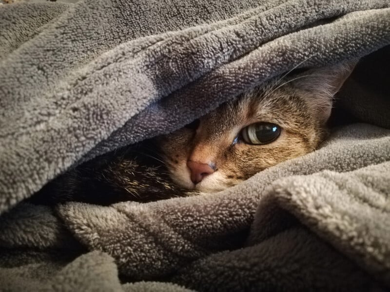 Как не замерзнуть в ледяной квартире. Советы альпинистки, которые помогут согреться даже при -30 °C