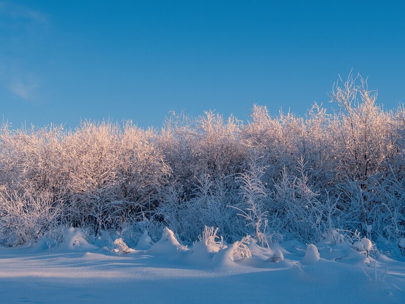 Синоптикиня пояснила, чому в Україну не йде тепло і тримаються морози