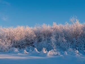 Синоптик объяснила, почему в Украину не идет тепло и держатся морозы