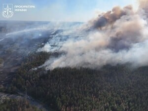 В Харьковской области из-за окурка сгорело 20 га растений и 350 га леса, пожар тушили пять суток – ОГП