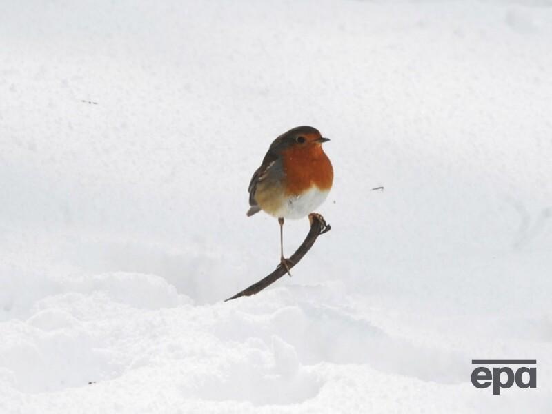 Чого чекати від погоди в неділю? Синоптик зробив попередження