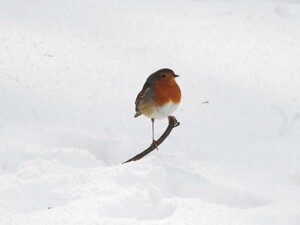 Чого чекати від погоди в неділю? Синоптик зробив попередження