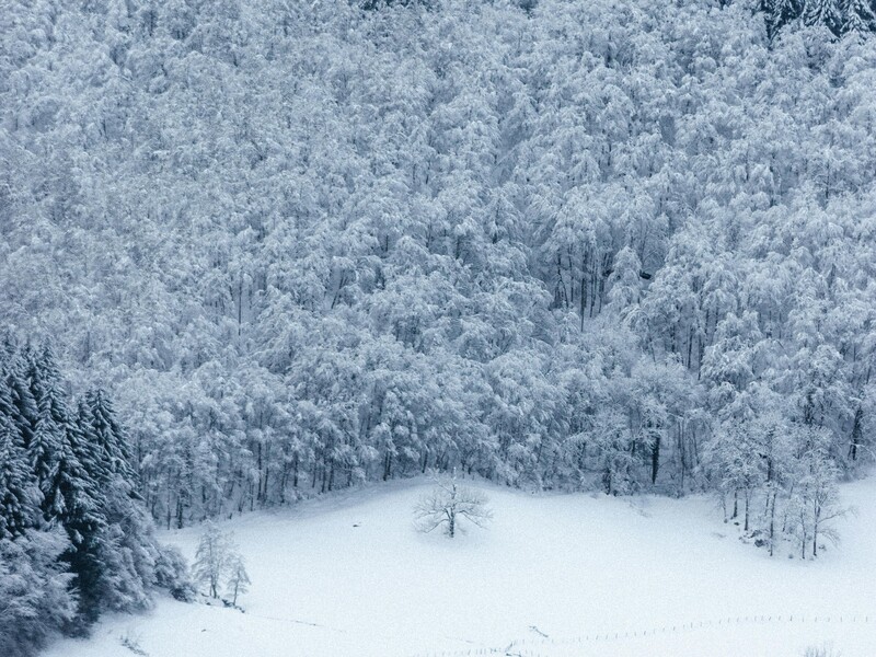 Цей січень став найморознішим за останні 16 років – Укргідрометцентр