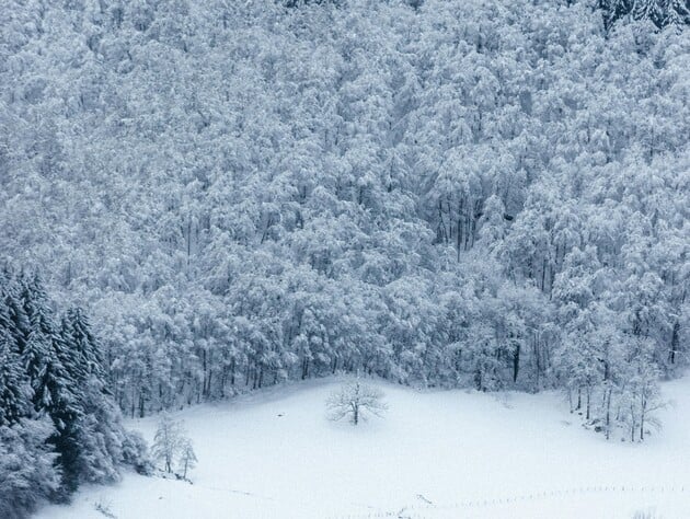 Этот январь стал самым морозным за последние 16 лет – Укргидрометцентр