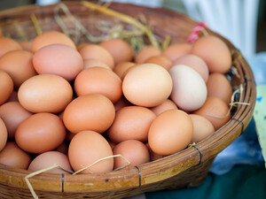 Які яйця смачніші – білі чи коричневі. Експерти пояснили, від чого залежить колір шкаралупи