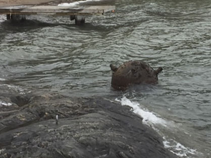 У берегов Швеции нашли морскую мину 86-летней давности 