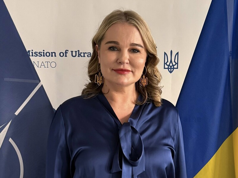 Эффект Гренландии. Покупать оружие у США может стать сложнее – посол Украины