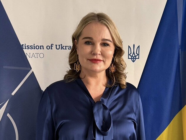 Ефект Гренландії. Купувати зброю у США може стати складніше – амбасадорка України