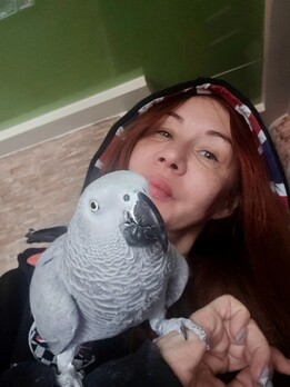 Гін: Бац – Трамп забув про Україну і на Гренландію йде війною. Наступного разу дадуть світло – буде третя світова