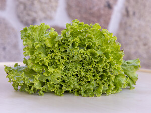 Благодаря этим этапам в уходе листья салата будут сочными и без горечи