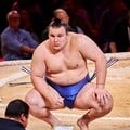 Здобув другий Кубок імператора і може стати йокодзуною. Що відомо про українця Явгусишина, який став зіркою сумо