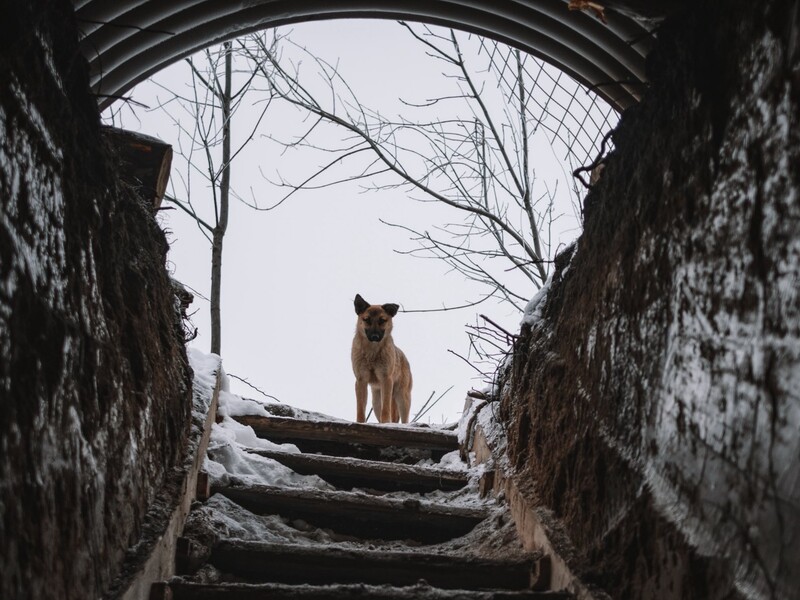 Темпы продвижения армии РФ в Украине упали почти втрое – СМИ