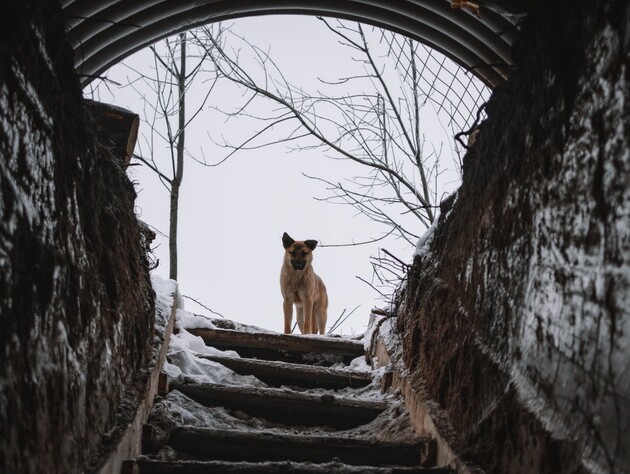 Темпи просування армії РФ в Україні впали майже втричі – ЗМІ