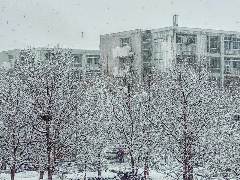 Морози до -25 °C повертаються в Україну. Прогноз на вихідні й початок лютого